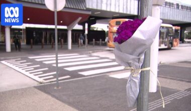 Two teens, man charged with murder over alleged Good Samaritan death in Mernda