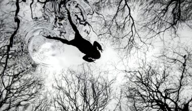 ‘Rarely seen moments’: Winners of the British Wildlife Photography Awards revealed