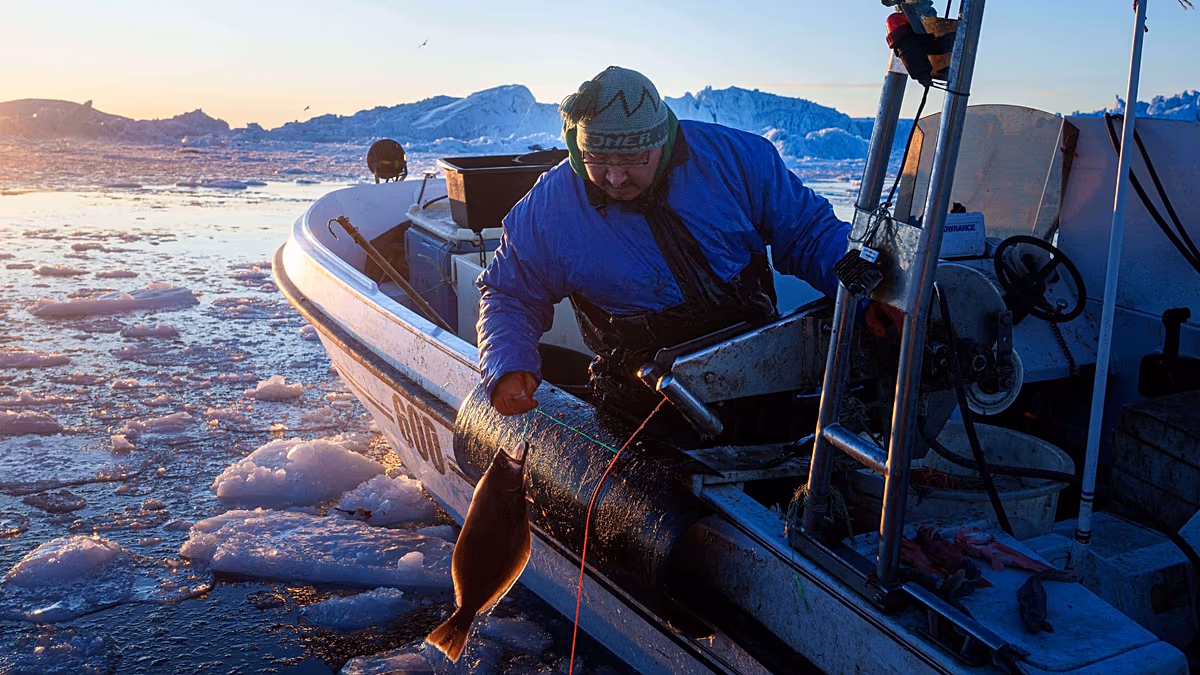 ‘It's too warm’: Greenland’s traditional fishers pushed towards polluting practices as ice melts