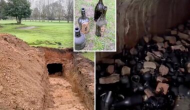 Sink hole at golf course reveals long-lost 19th century wine cellar