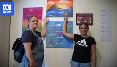 Illawarra community centre programs to continue using $65,000 art sales cheque