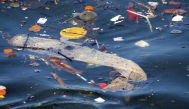 AI Aids Marine Scientists in Tracking Space Debris