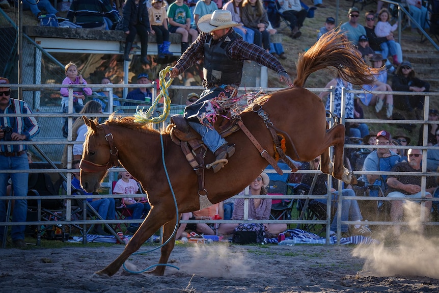 A man rides a bucking bronco in a rodeo ring