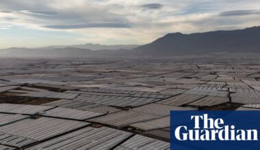 ‘Visible from space’: why Spain has the world’s biggest concentration of greenhouses | Farming