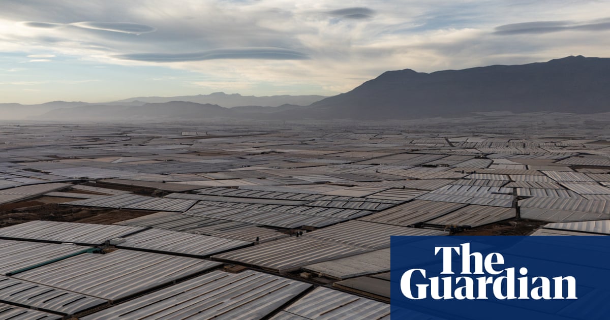 ‘Visible from space’: why Spain has the world’s biggest concentration of greenhouses | Farming