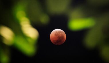 ‘Blood Moon’ Eclipse And Aurora Alert In March 2026