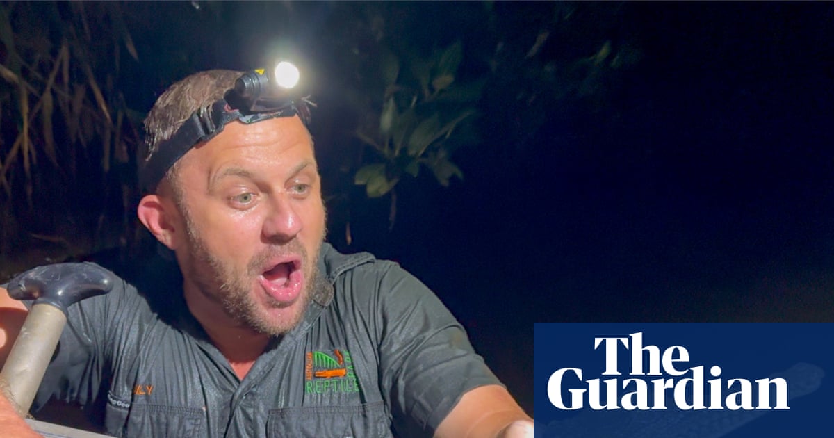 Disbelief as crocodile captured in Newcastle creek thousands of kilometres from natural habitat | Crocodiles