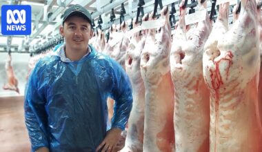 Tasmania's largest lamb exporter loses biggest market in the wake of Iran war