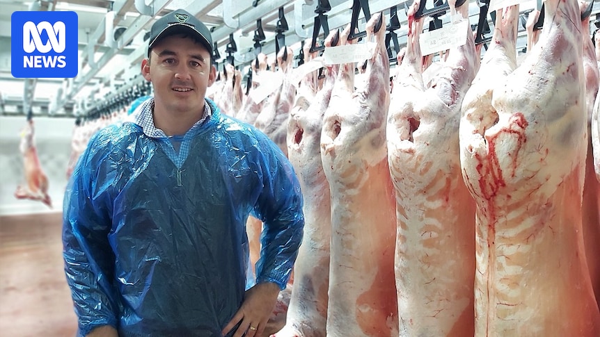 Tasmania's largest lamb exporter loses biggest market in the wake of Iran war