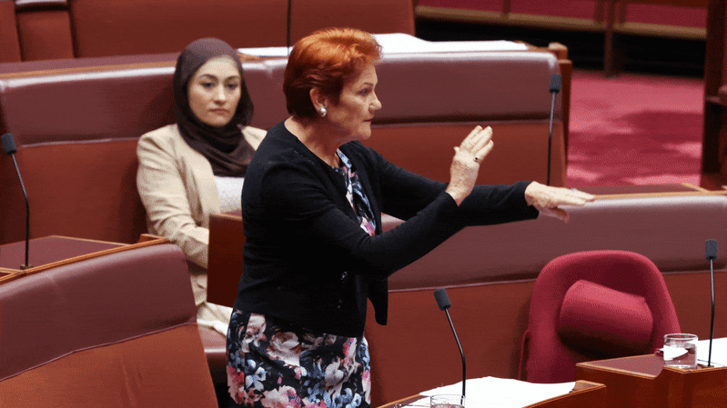 Penny Wong moves censure motion against Pauline Hanson for remarks about Muslims