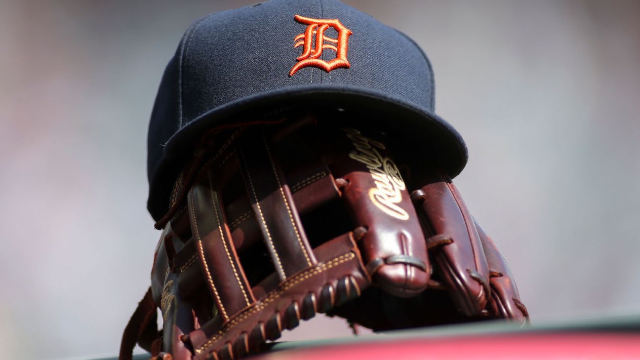 Owners of Tigers, Red Wings create regional sports network