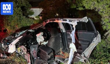 Driver missing after stolen car torn in half in horror crash in Melbourne's south-west