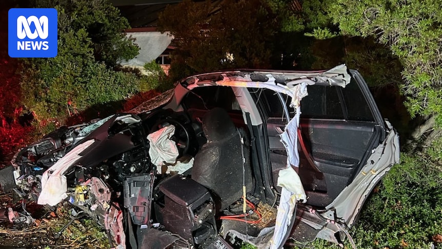 Driver missing after stolen car torn in half in horror crash in Melbourne's south-west