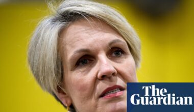 Plibersek accuses Mafs of platforming ‘coercive control’ after contestant wanted a woman ‘obedient’ like a dog | Tanya Plibersek