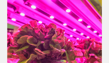 What will it take to grow food in space?
