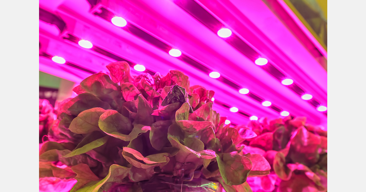 What will it take to grow food in space?
