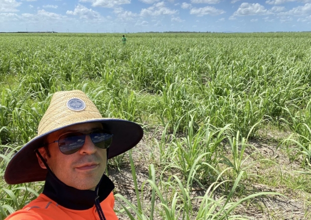 Professor Mostafa Rahimi Azghadi, sugarcane disease researcher, standing in a field of sugarcane