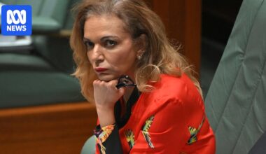 Anne Aly warns Australia must not 'abandon' people vulnerable to radicalisation