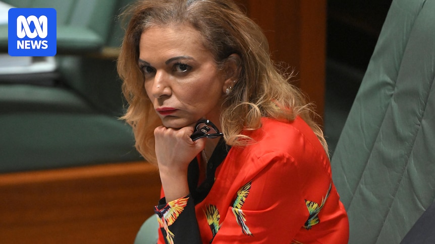 Anne Aly warns Australia must not 'abandon' people vulnerable to radicalisation