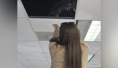 Car Dealership Staff Hear Scratching In Ceiling — Then Reunite A Baby With His Mom