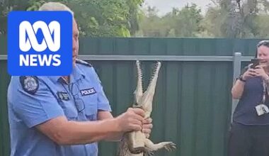 Fitzroy Crossing's top cop wrangles Kimberley crocodile in backyard