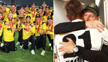 Cricket news: Replacement named after Aussie champion steps down from role after eight years