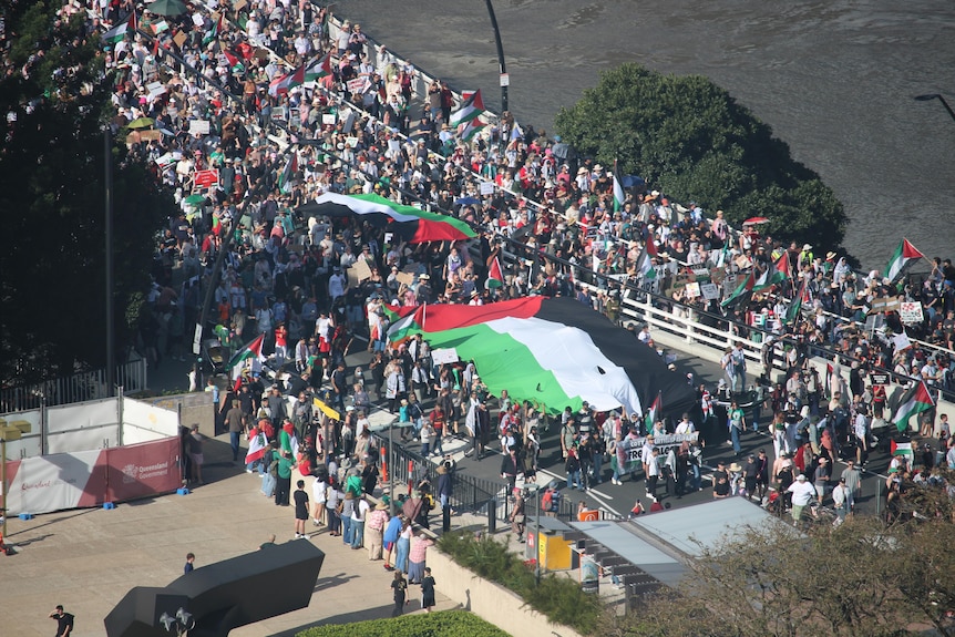 A group of protesters holding palestine flags.