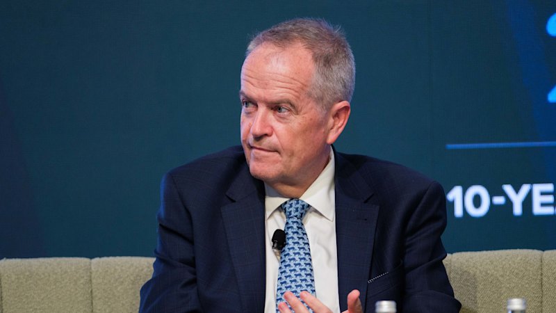 Bill Shorten warns of international student addiction