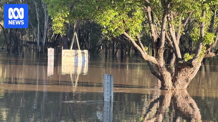 Evacuation warning issued as Chinchilla prepares for flood peak and Bundaberg counts cost