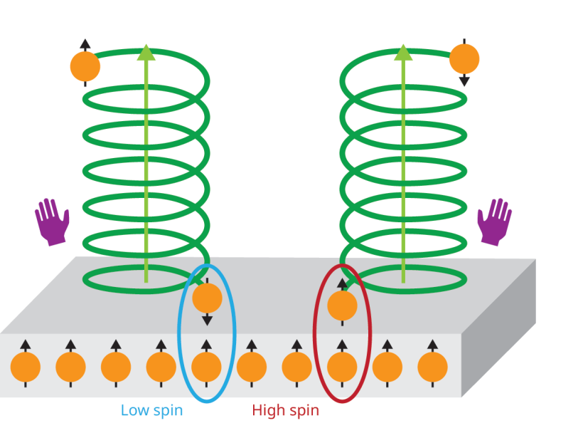 An illustration shows two green vertical spirals on top of a gray rectangle, denoting a metal, that is decorated with orange dots that represent electrons and black arrows pointing up through them that represent their spin. Green arrows inside the spirals point upward. Where the green springs sit on the gray rectangle, an electron on the left spring is spin down and counteracts the upward spin on the metal; the two electrons are circled with a blue line and labeled low spin. On the right spring, a spin-up electron adds to the one on the metal, and both are circled with a red line and labeled high spin.