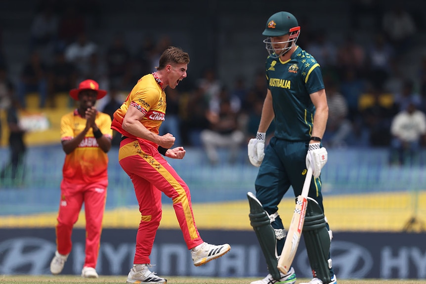 Brad Evans of Zimbabwe celebrates the wicket of Cameron Green 