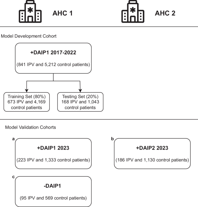 Leveraging multimodal machine learning for accurate risk identification of intimate partner violence