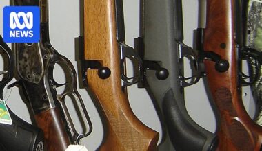 Plea from Tasmania's police commissioner for limit on gun ownership knocked back by government