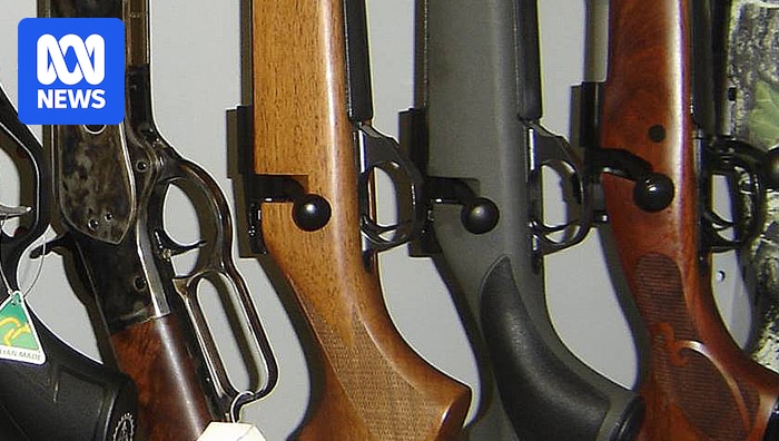 Plea from Tasmania's police commissioner for limit on gun ownership knocked back by government