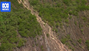 Teenager dies and another is critically injured after falling from Mount Beerwah