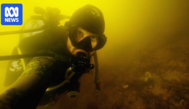 What the government knew about SA’s toxic algal bloom and what it told the public