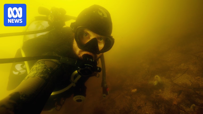 What the government knew about SA’s toxic algal bloom and what it told the public