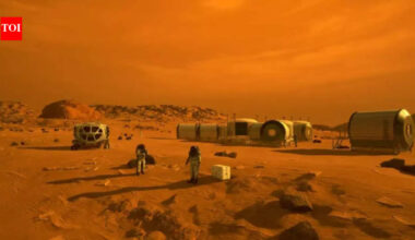 Are there insects and reptiles on Mars? What the research actually says |