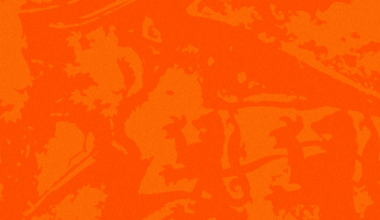 Job Opportunity | Digital Content Lead