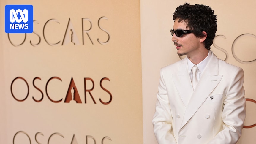 Timothée Chalamet charms cinema-goers but can't crack the Academy