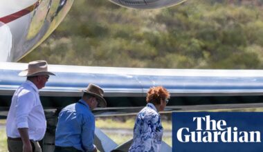 Pauline Hanson fails to properly declare more free flights from Gina Rinehart | Pauline Hanson