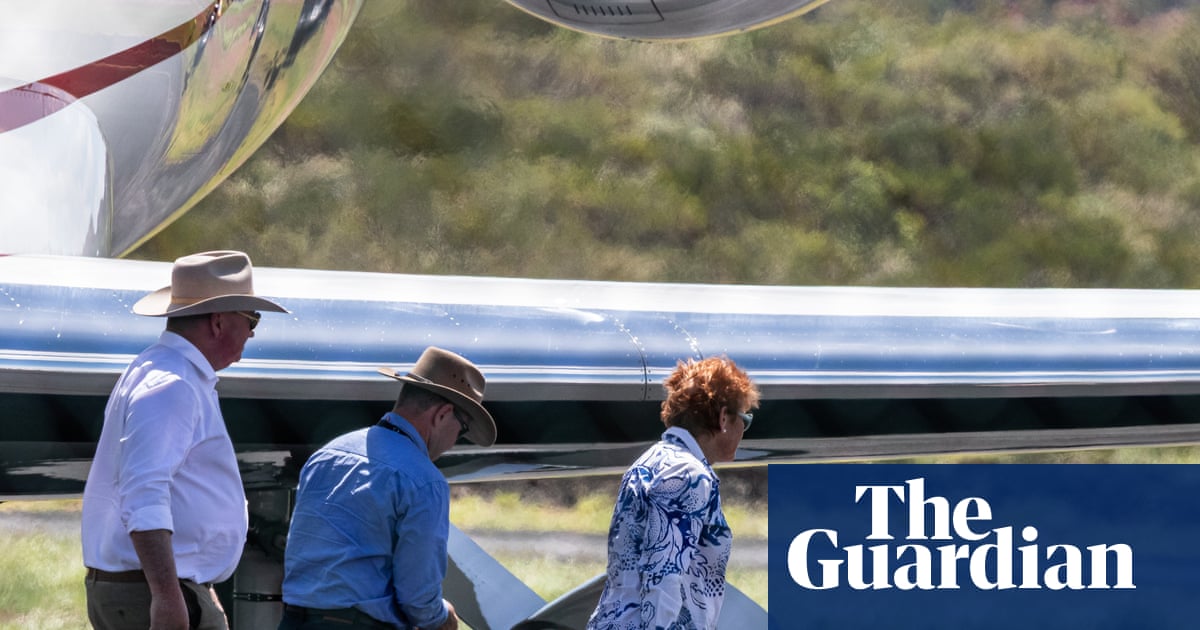 Pauline Hanson fails to properly declare more free flights from Gina Rinehart | Pauline Hanson