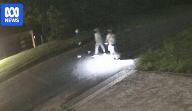 Police release new footage in appeal over grandfather Chris Baghsarian's murder