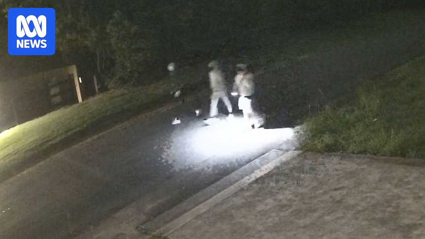 Police release new footage in appeal over grandfather Chris Baghsarian's murder