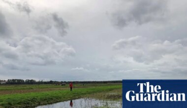 England must destine 7% of land to nature and renewables to hit green targets, data shows | Conservation