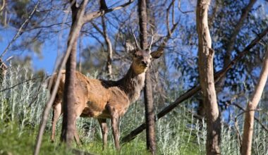 Farmers and environment groups condemn government's "offensive" protection