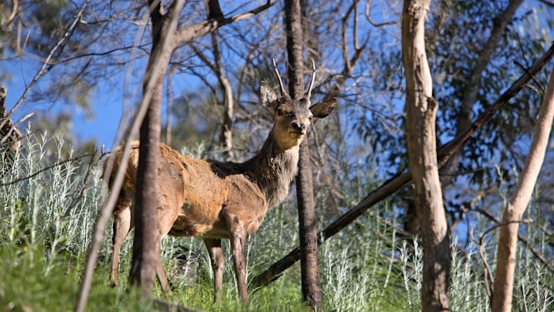 Farmers and environment groups condemn government's "offensive" protection