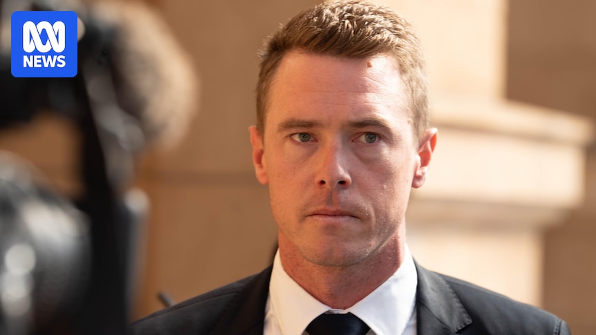 SA Victims' Rights Commissioner describes Rohan Dennis's post as 'deeply offensive'