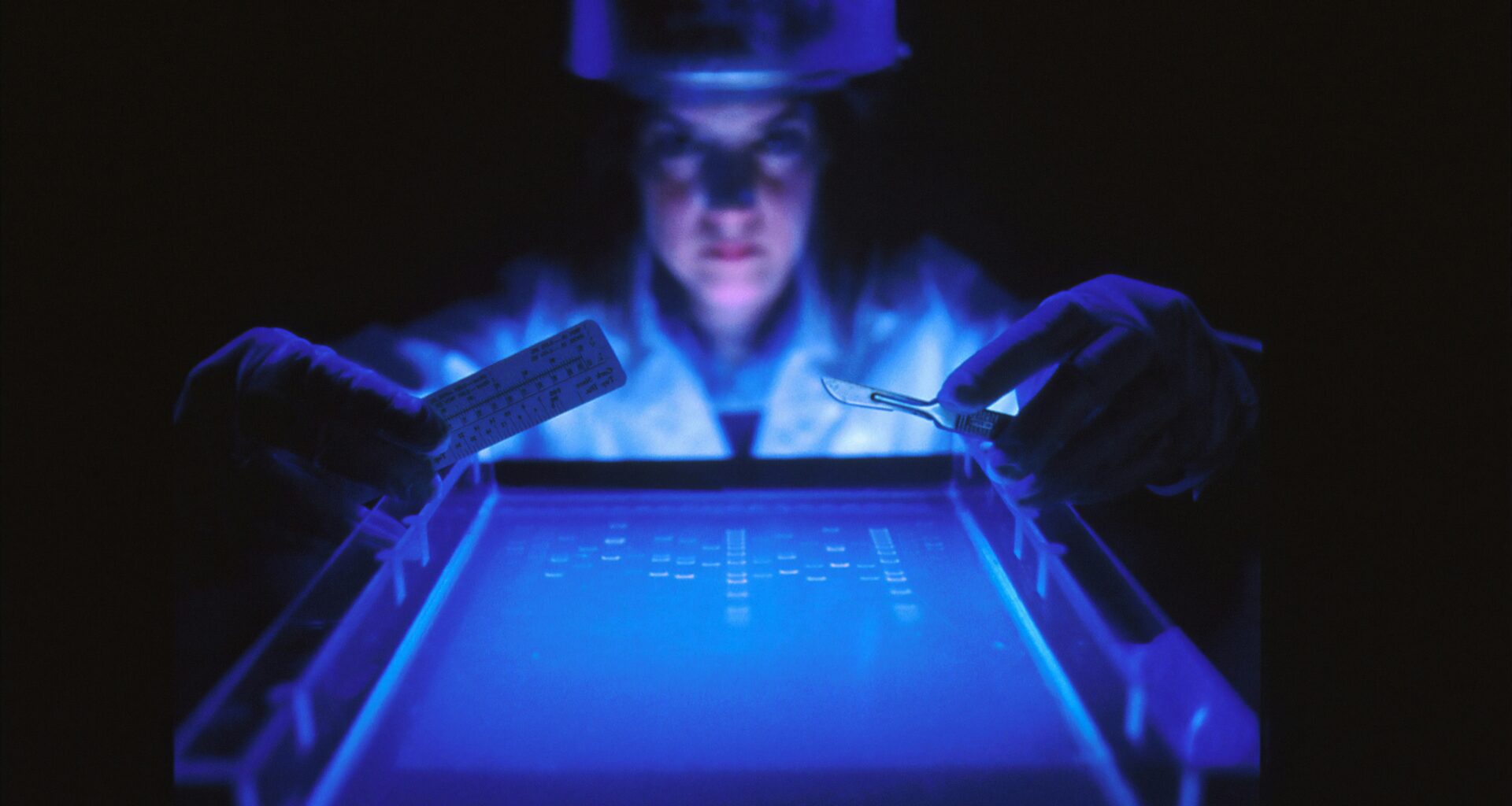 Fiber-Optic Sensors Expose Farming's Soil Damage