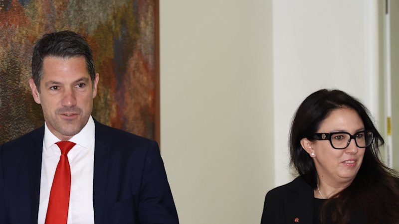 The South Australian Liberals aren’t just staring down defeat by One Nation. They’re facing a wipeout